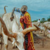 Mundari 5