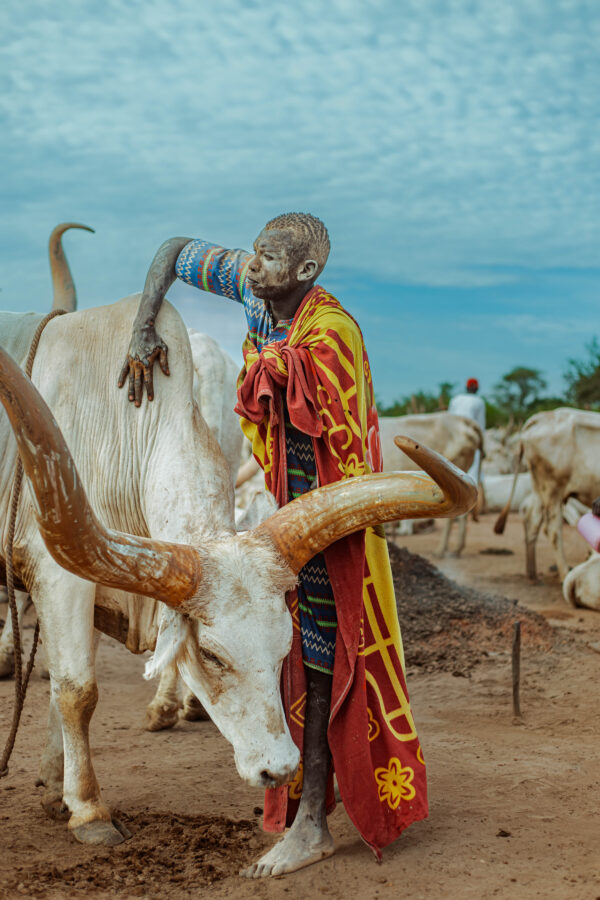 3V7A3356 Mundari 5