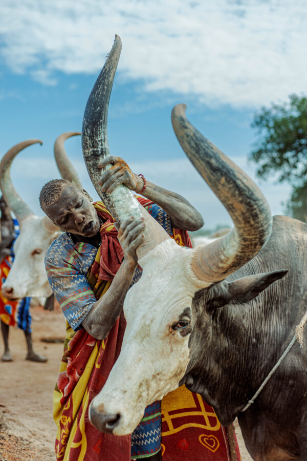 3V7A3405 Mundari 1