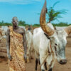 Mundari 6