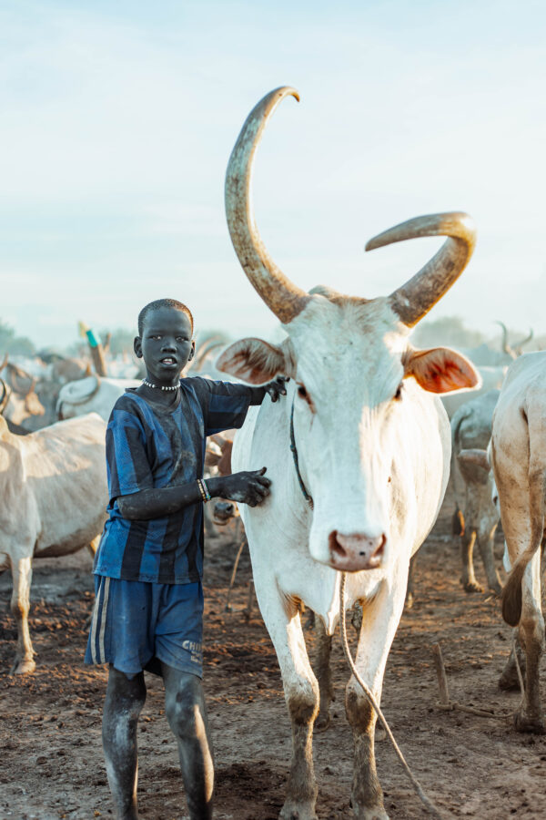 3V7A4716 Mundari 10