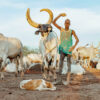 Mundari 12