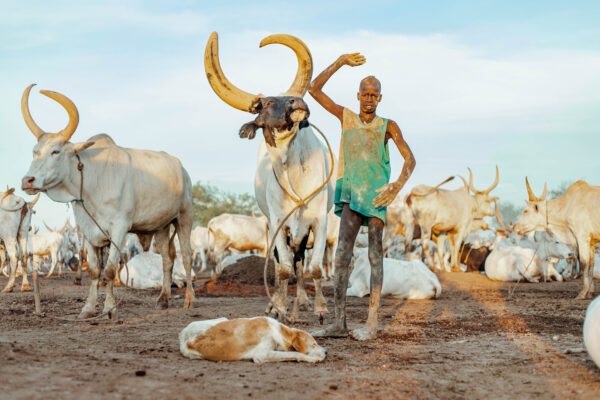 3V7A4797 Mundari 12